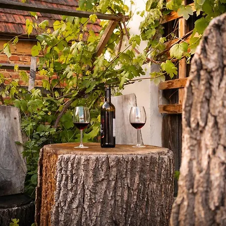 아파트 Kapolna Vendeghaz