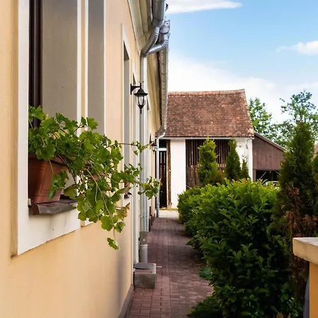 Kapolna Vendeghaz Kerkaskapolna